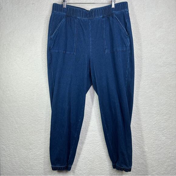 Charter Club Jeans Jeggings Pull-On Blue Pants XL Stretch - Picture 1 of 12